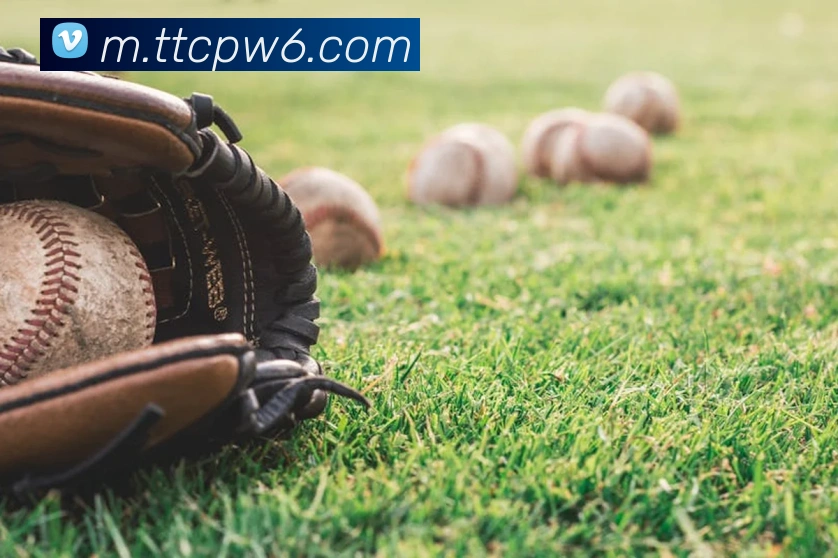 天天彩票官方网站服务体系